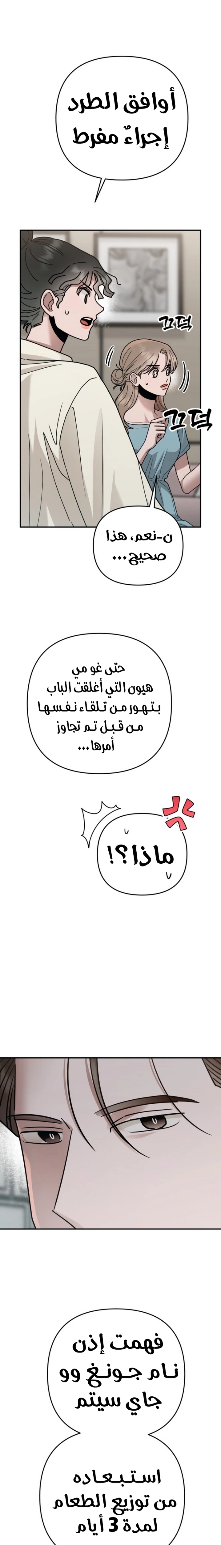 الصفحة 20
