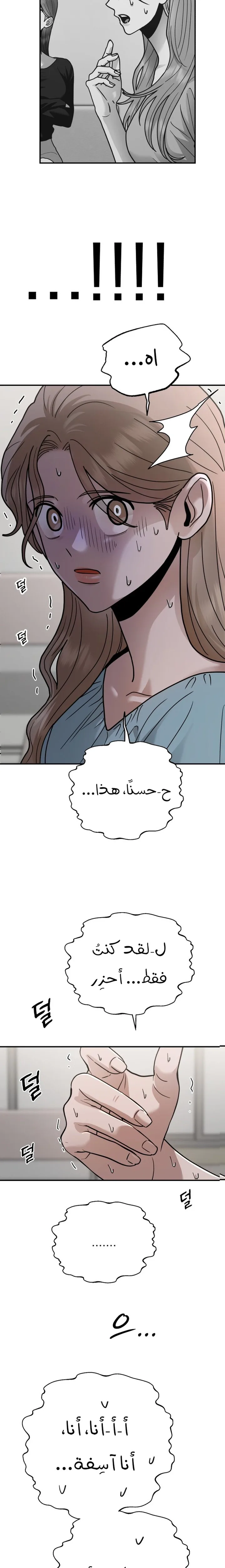 الصفحة 13