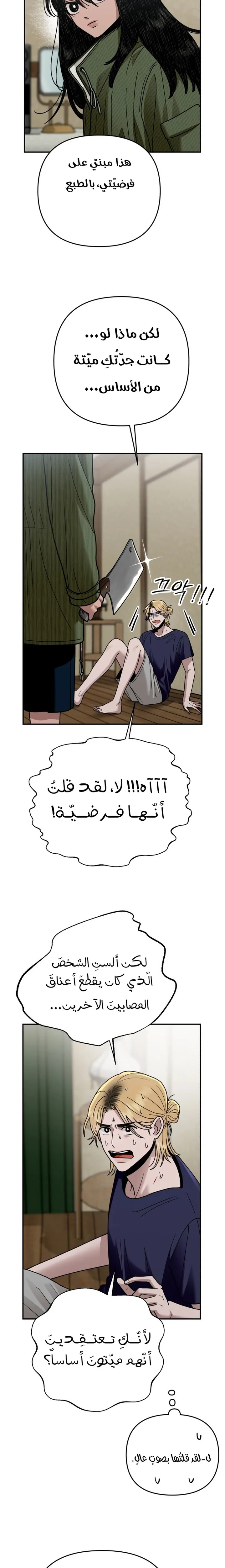 الصفحة 29