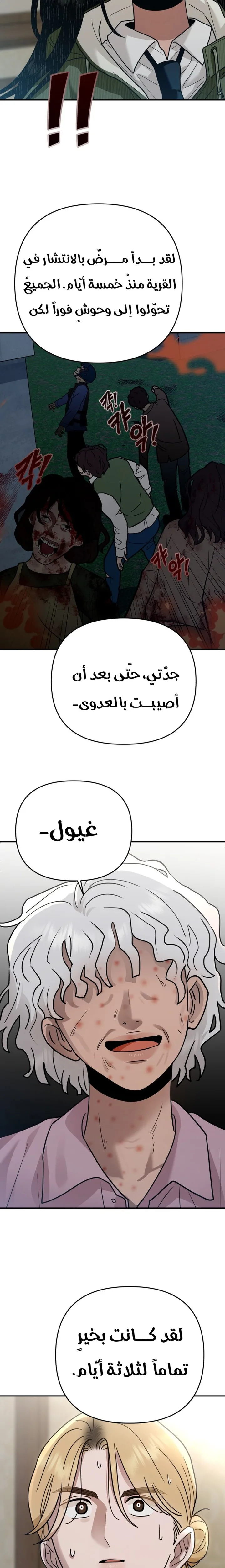 الصفحة 31