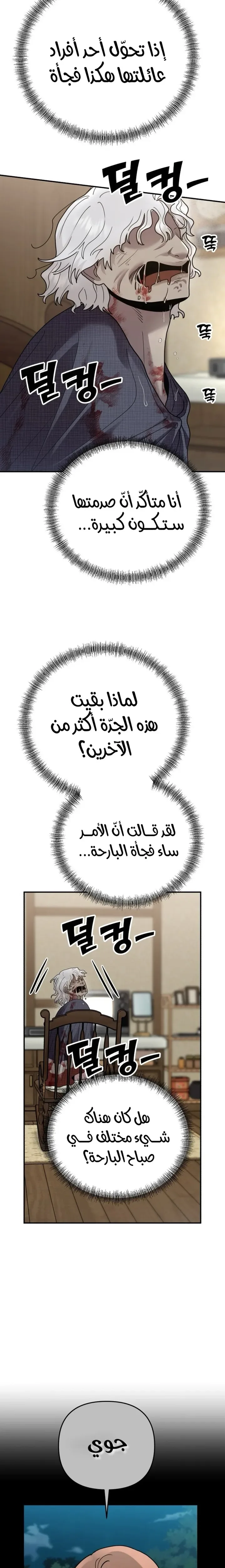 الصفحة 13
