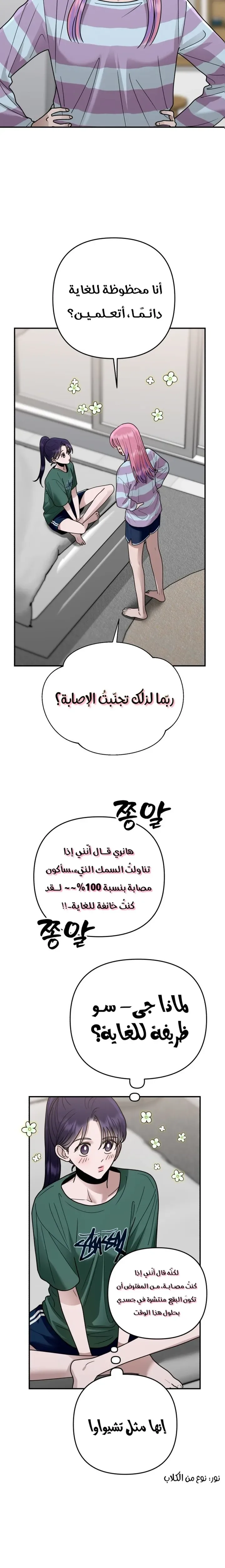 الصفحة 17