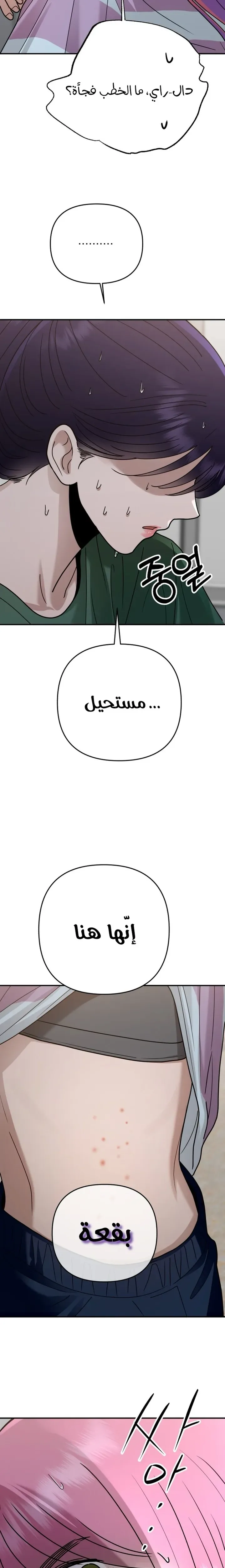 الصفحة 20