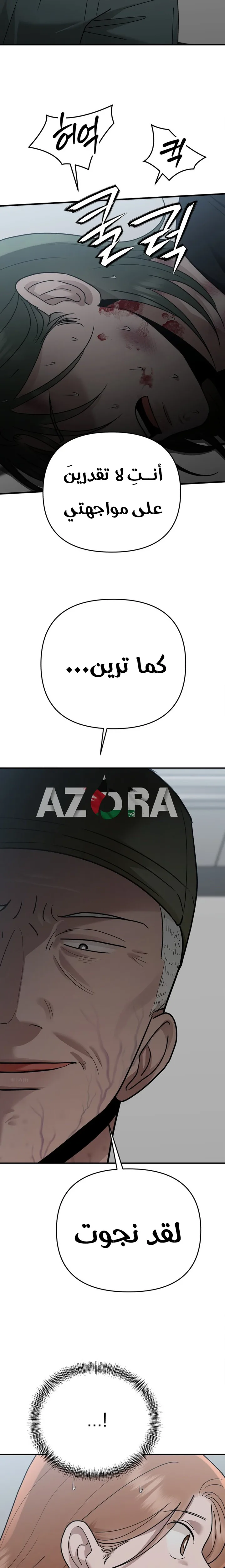 الصفحة 12