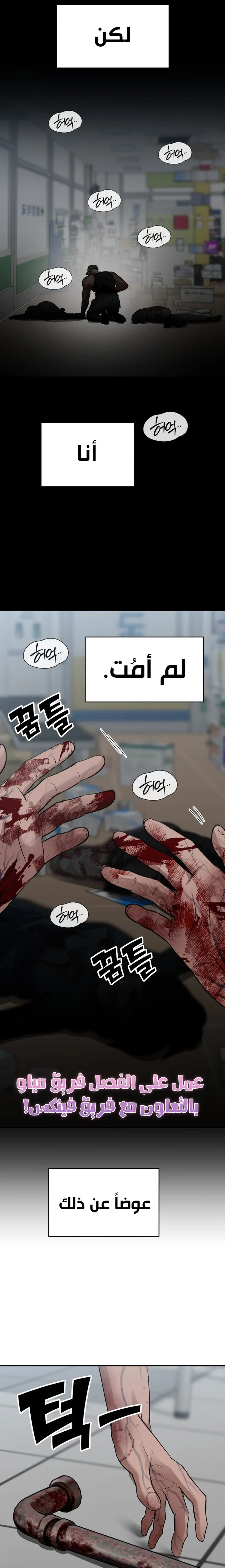 الصفحة 14