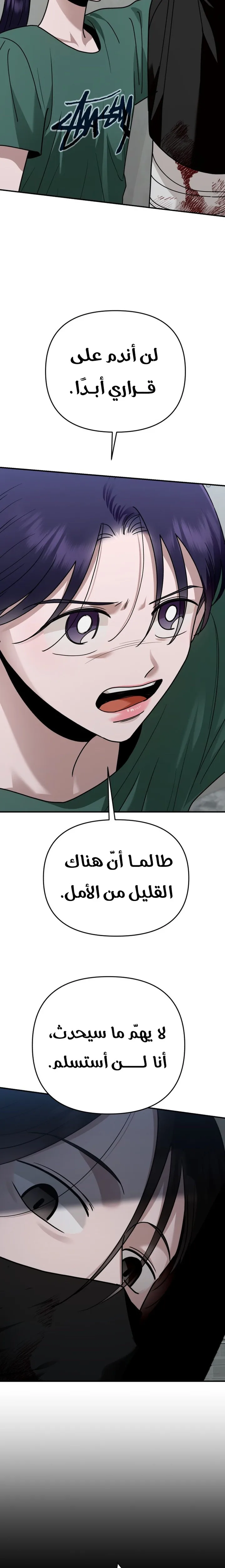 الصفحة 13