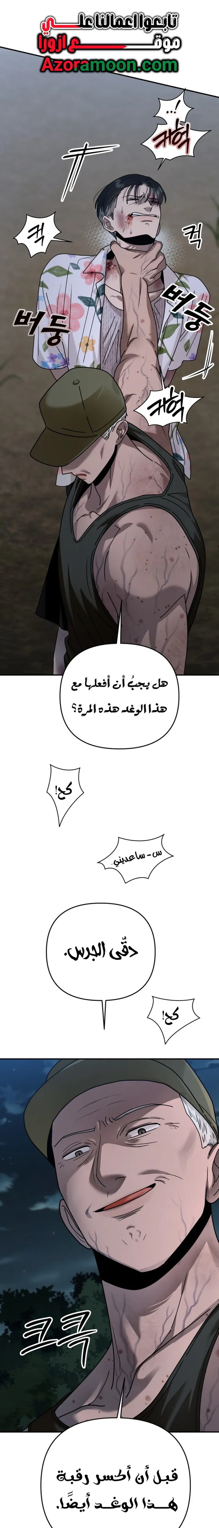 الصفحة 29