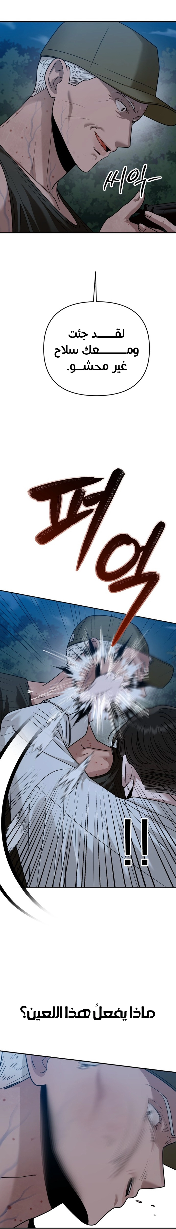 الصفحة 13