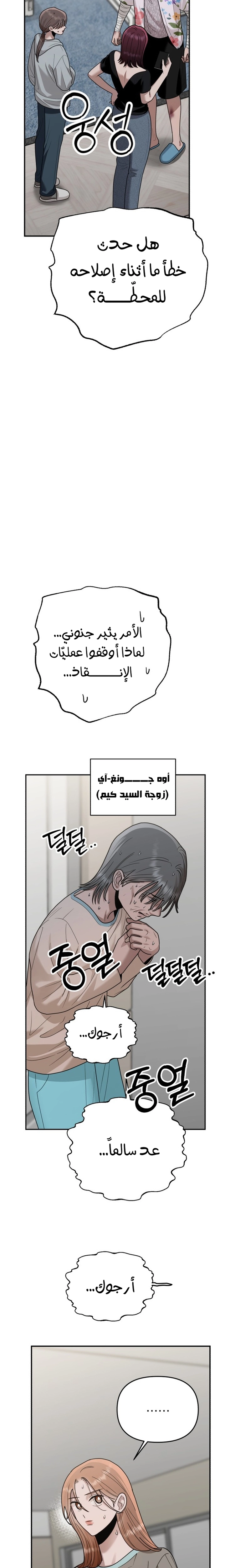 الصفحة 17