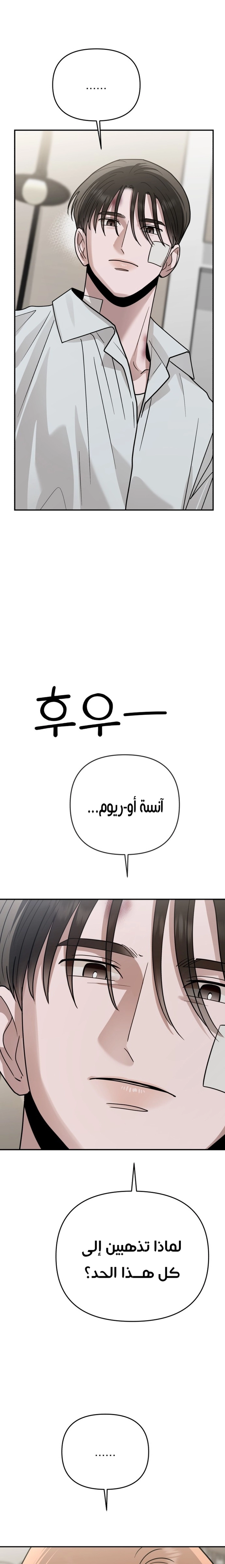 الصفحة 27