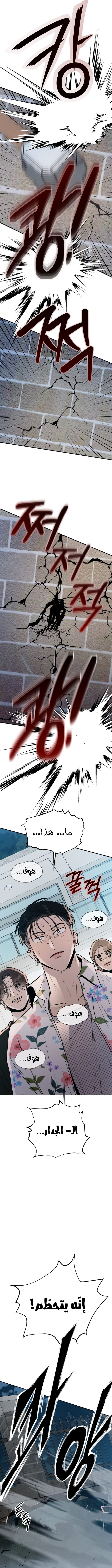 الصفحة 21