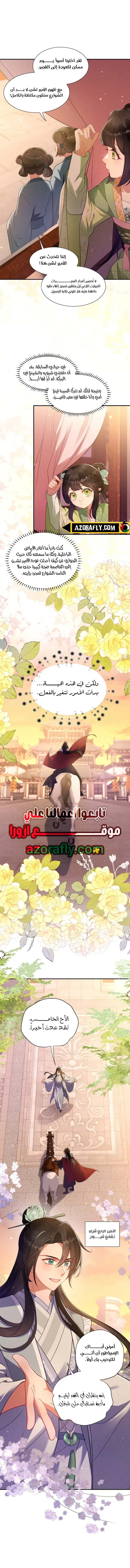 الصفحة 2