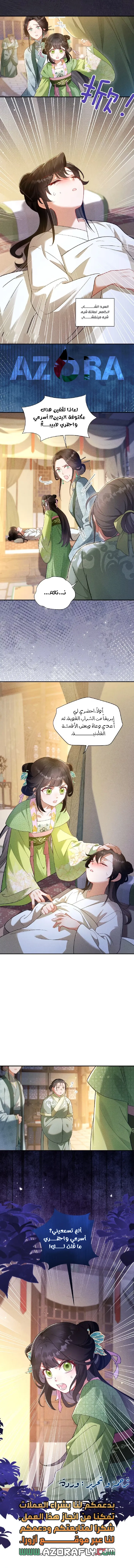 الصفحة 11