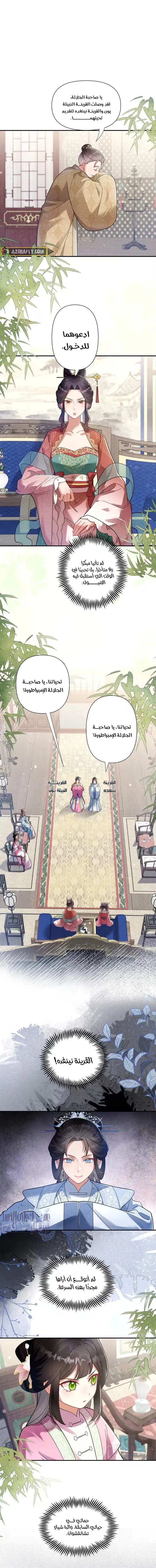 الصفحة 7