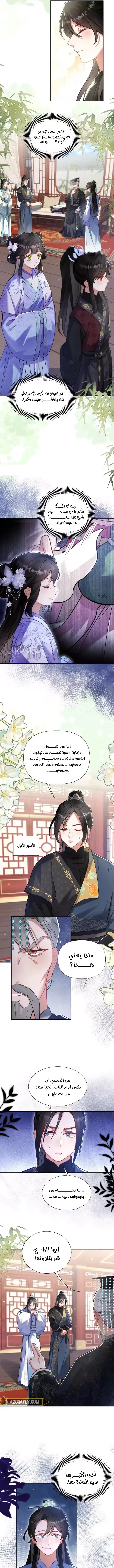 الصفحة 2