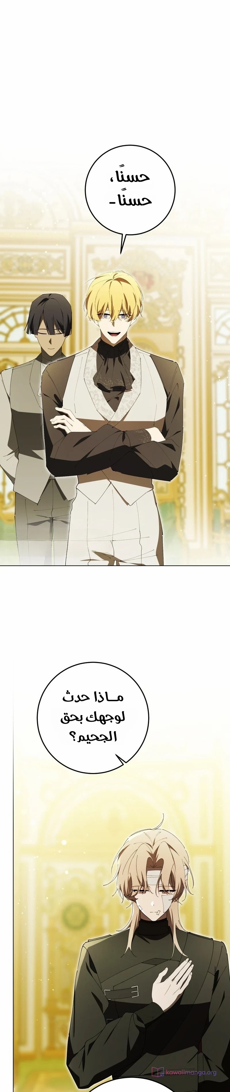 الصفحة 11