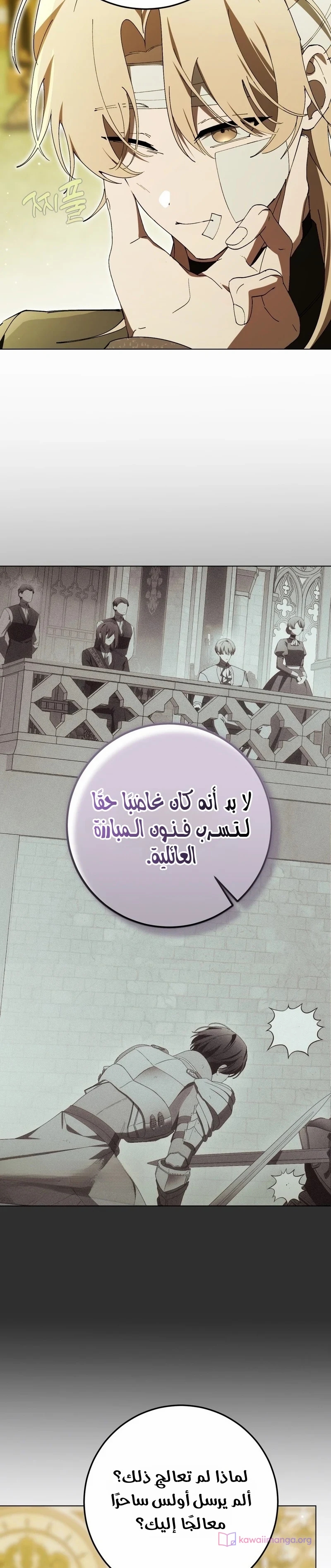 الصفحة 13
