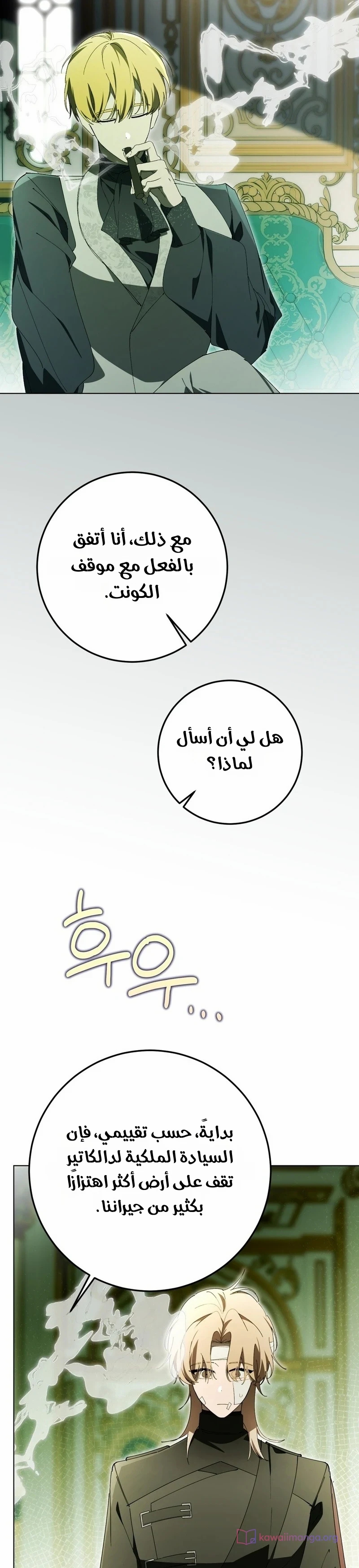 الصفحة 31