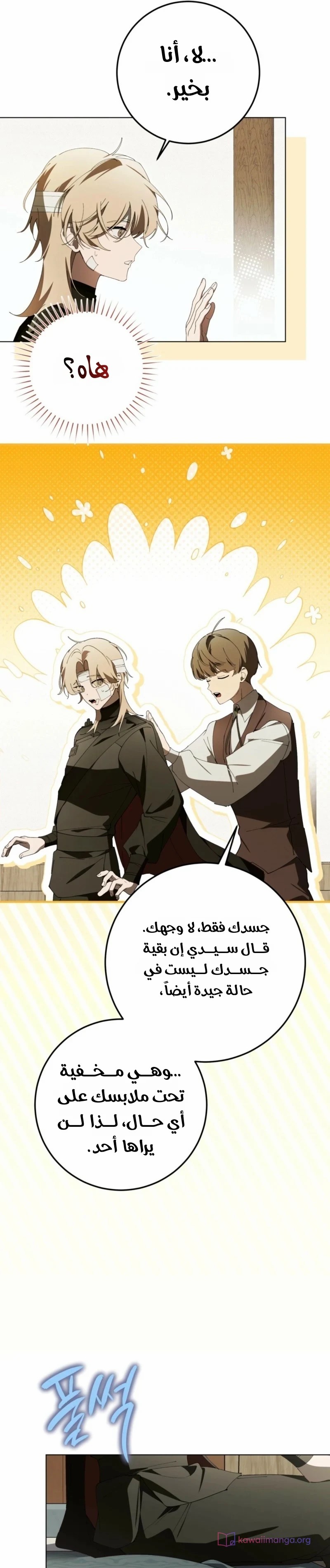 الصفحة 13