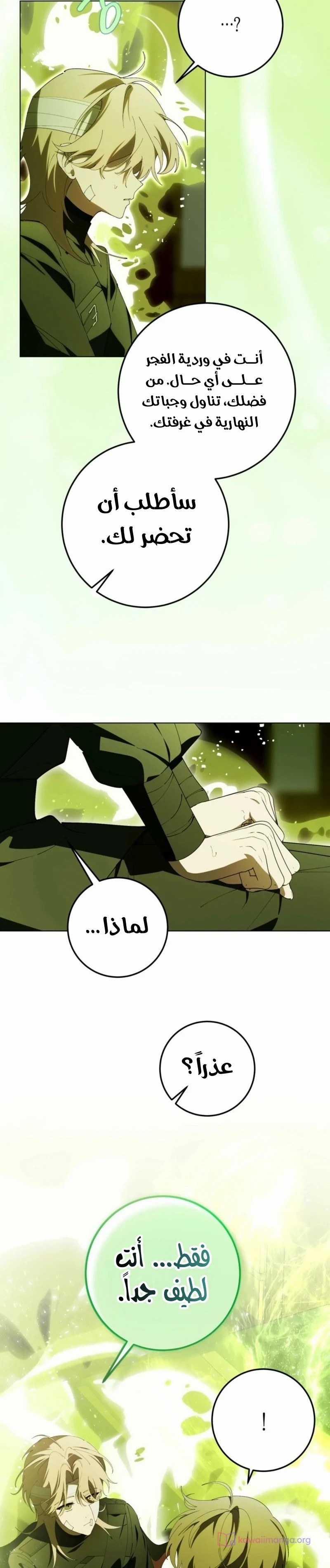 الصفحة 17