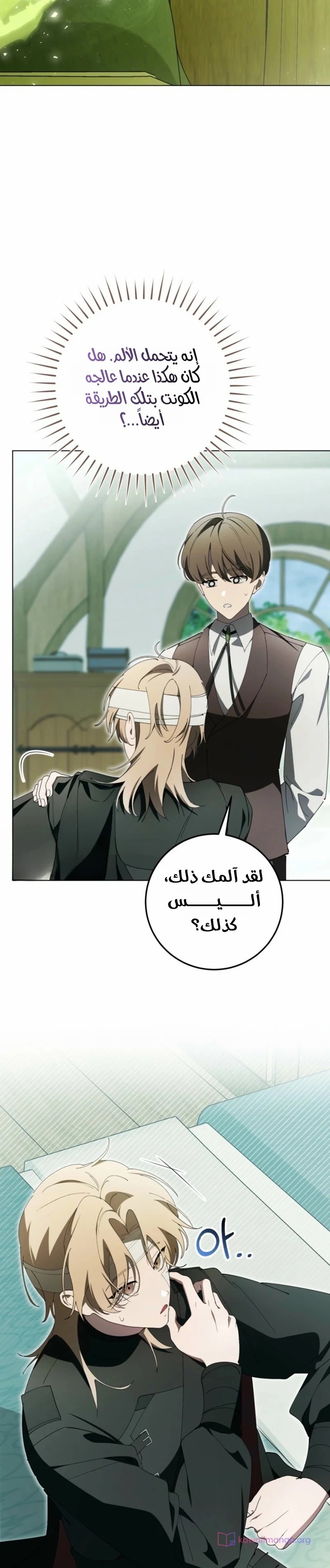 الصفحة 19