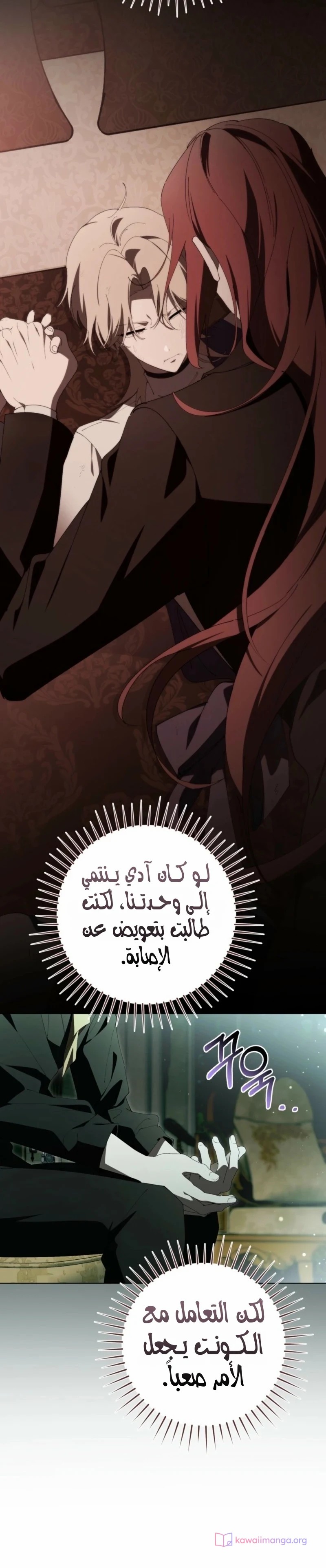 الصفحة 25