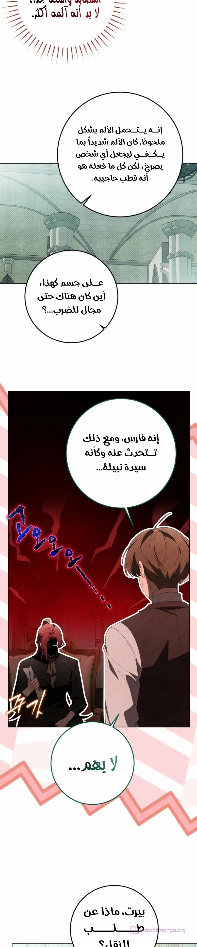 الصفحة 27