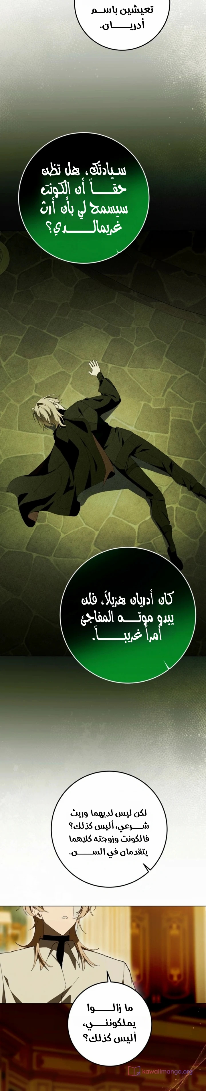 الصفحة 17