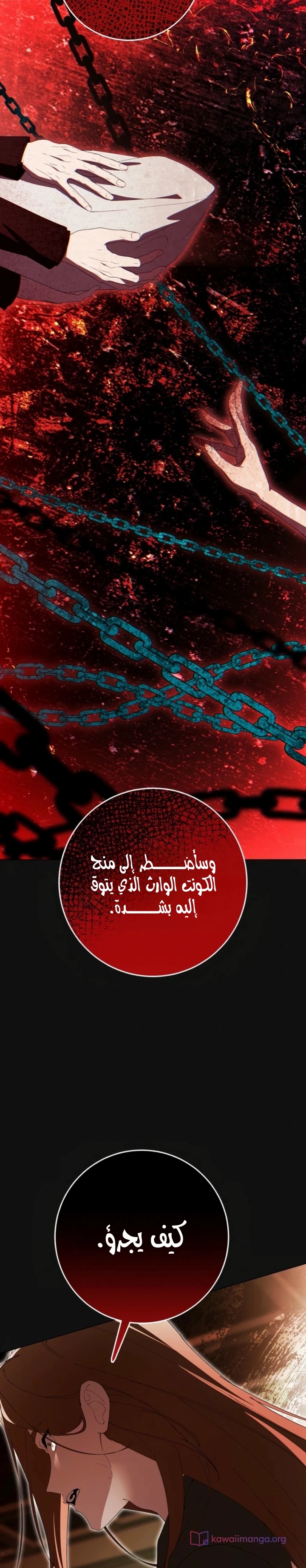 الصفحة 21