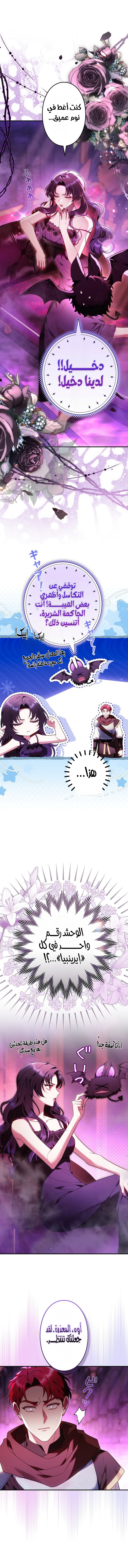 الصفحة 2