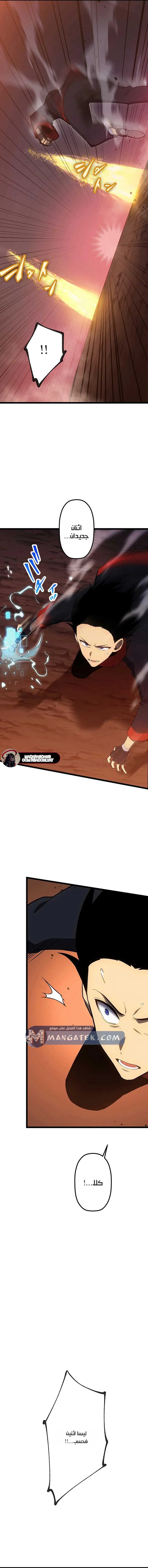 الصفحة 11