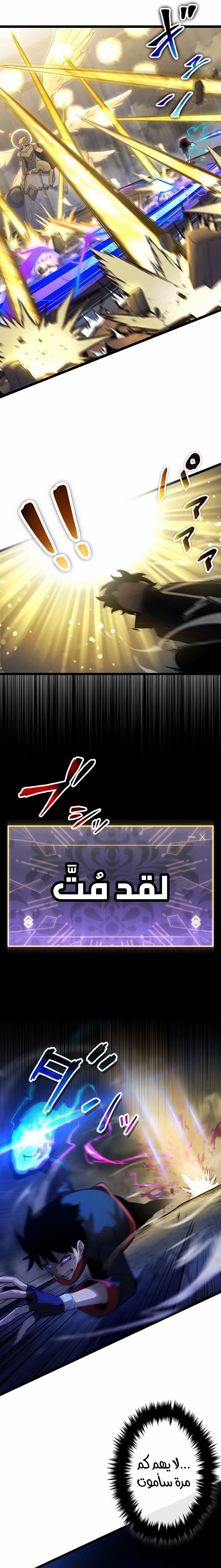 الصفحة 13