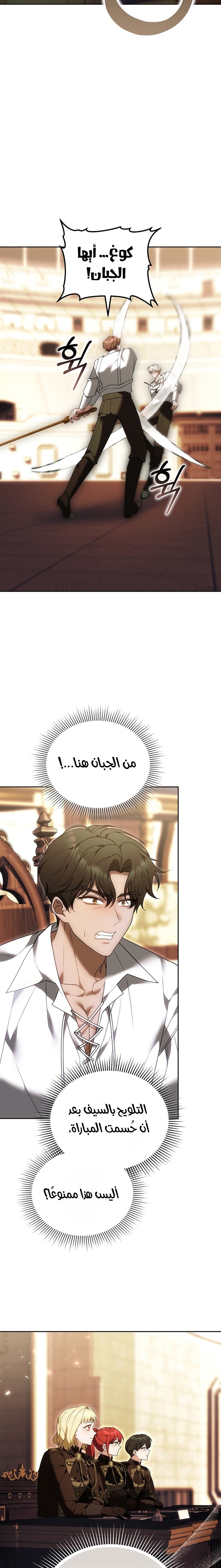 الصفحة 17