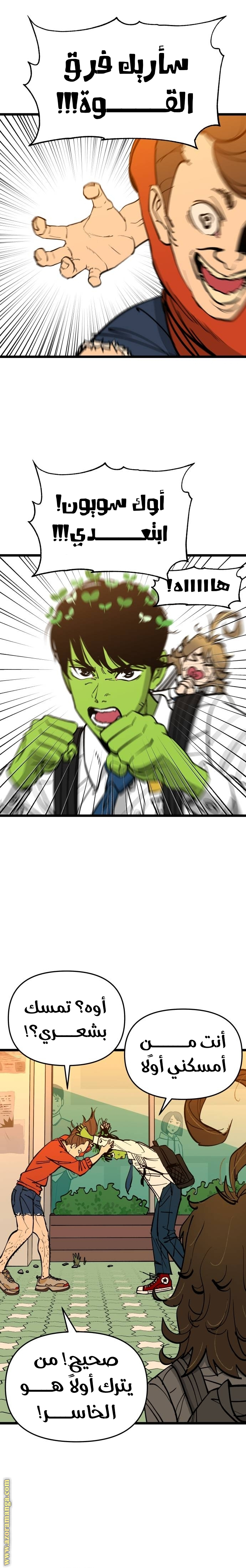الصفحة 17