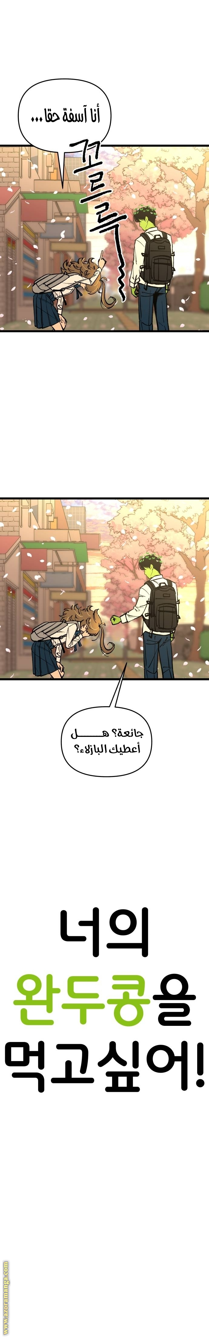 الصفحة 26