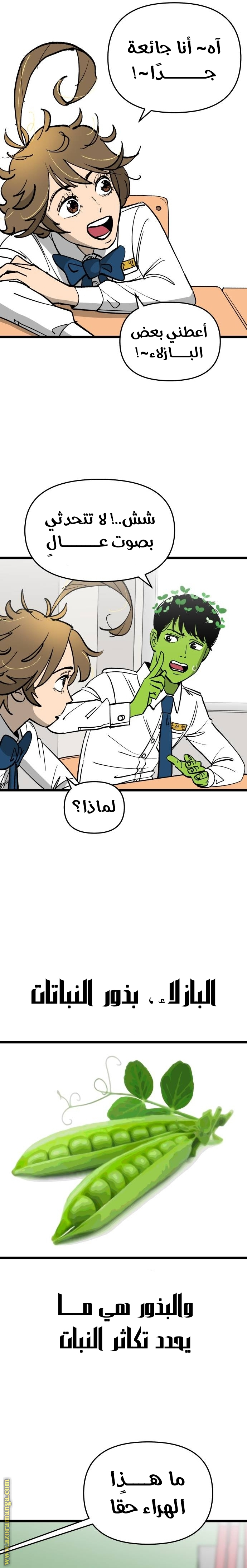 الصفحة 27