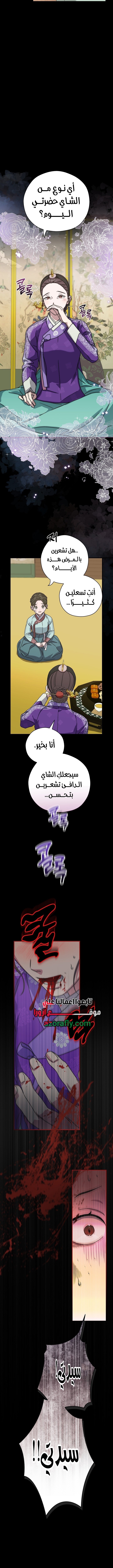 الصفحة 14