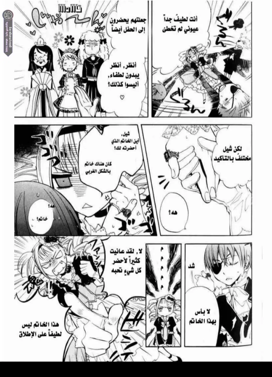 الصفحة 25