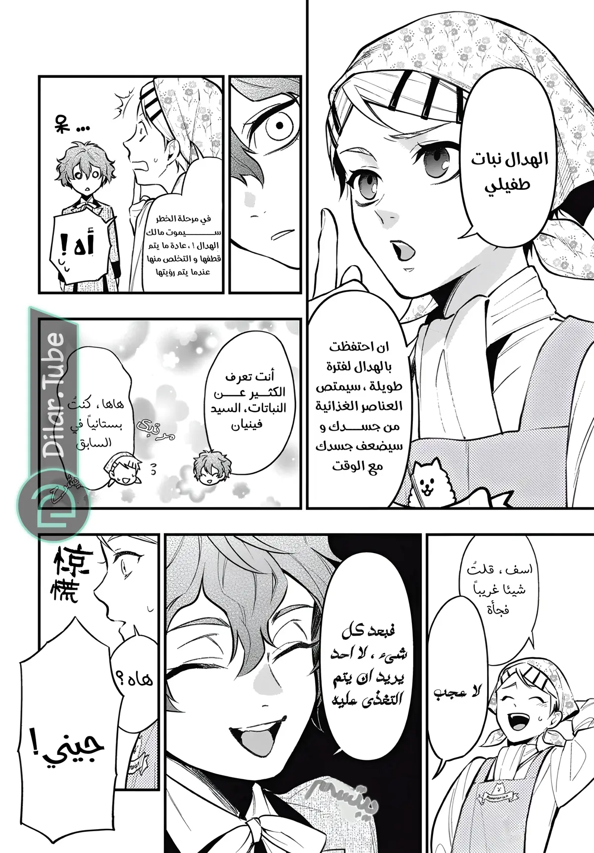الصفحة 8
