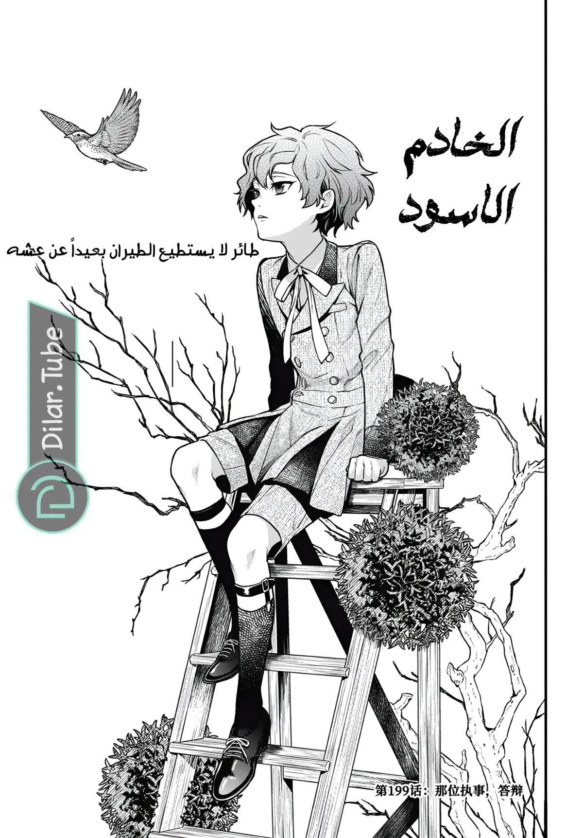 الصفحة 2