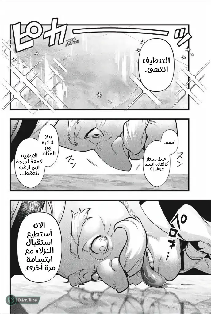 الصفحة 15