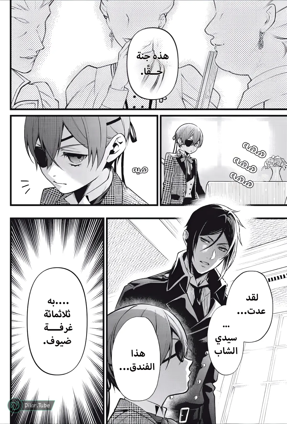 الصفحة 13