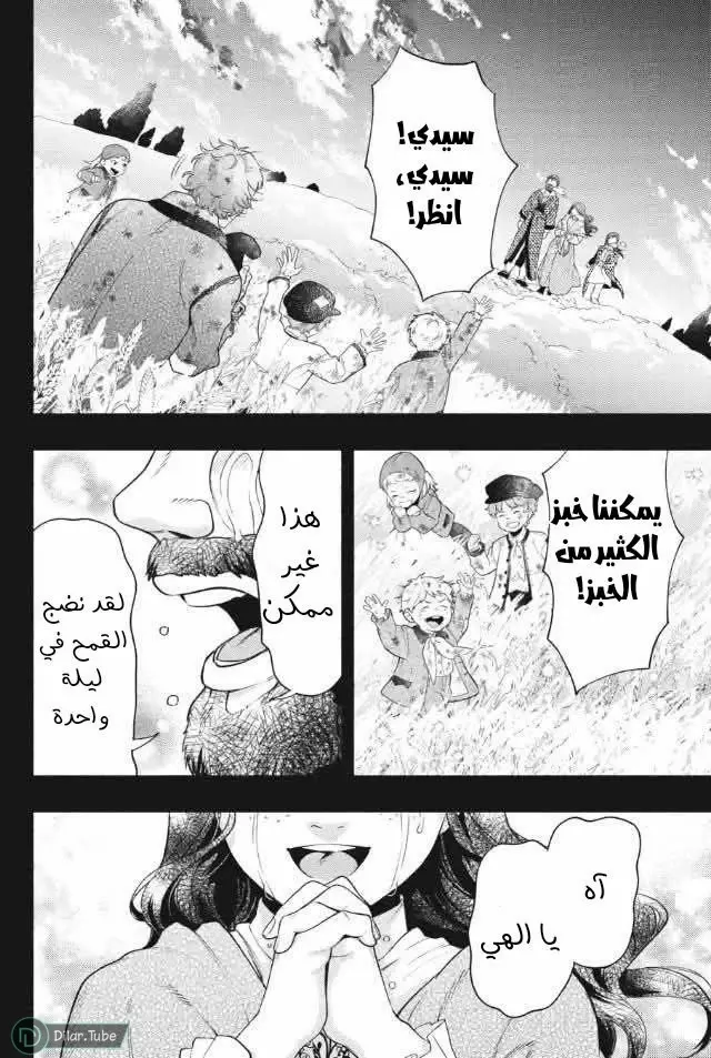 الصفحة 14
