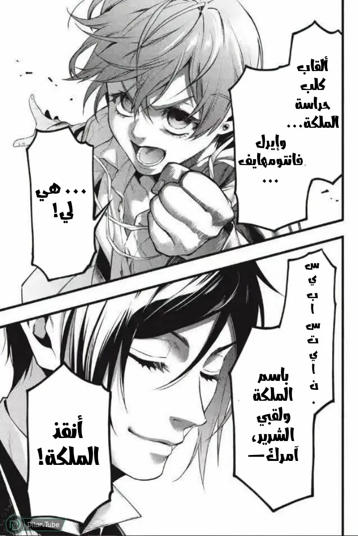 الصفحة 27