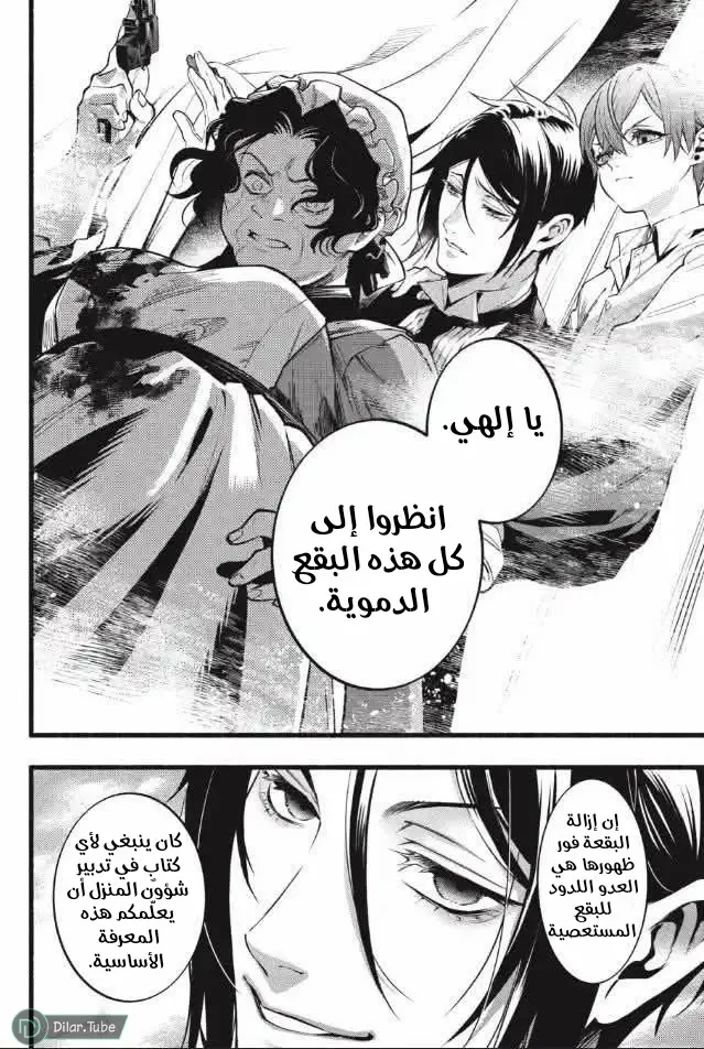 الصفحة 13