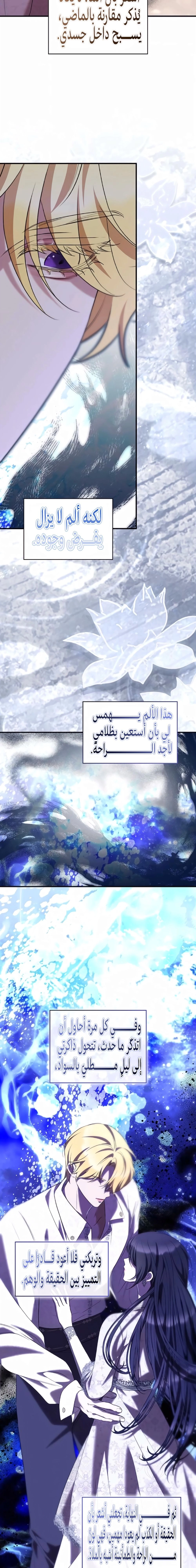 الصفحة 17
