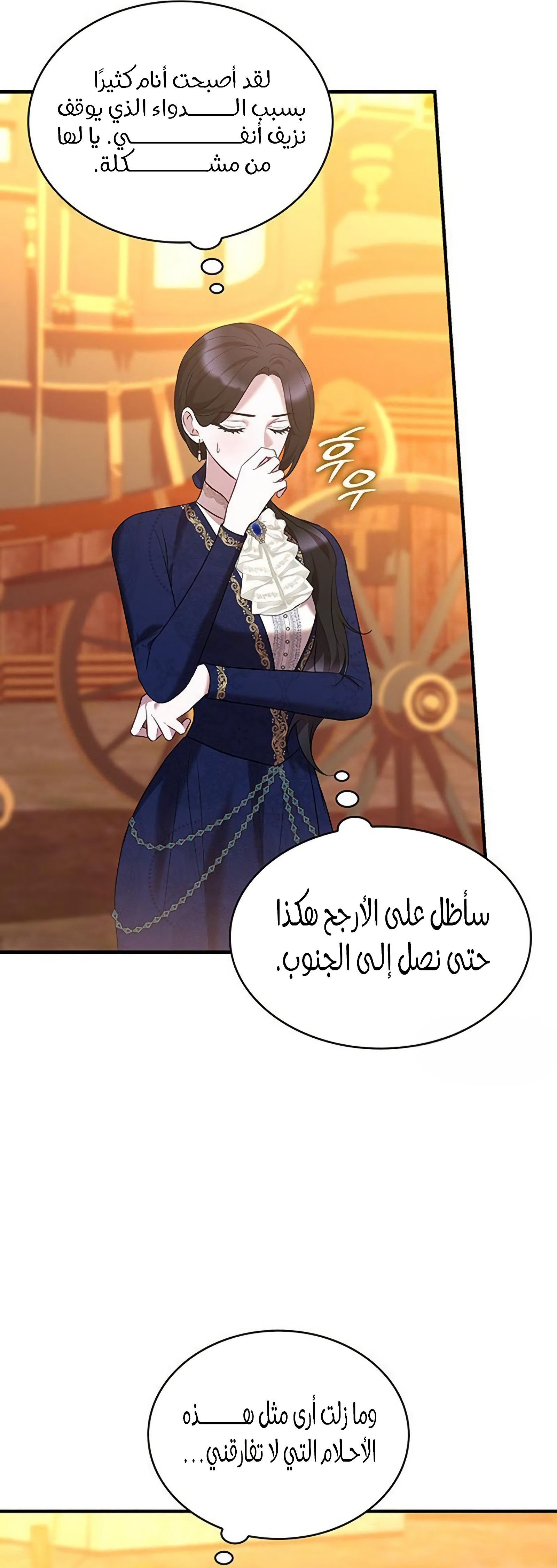 الصفحة 21