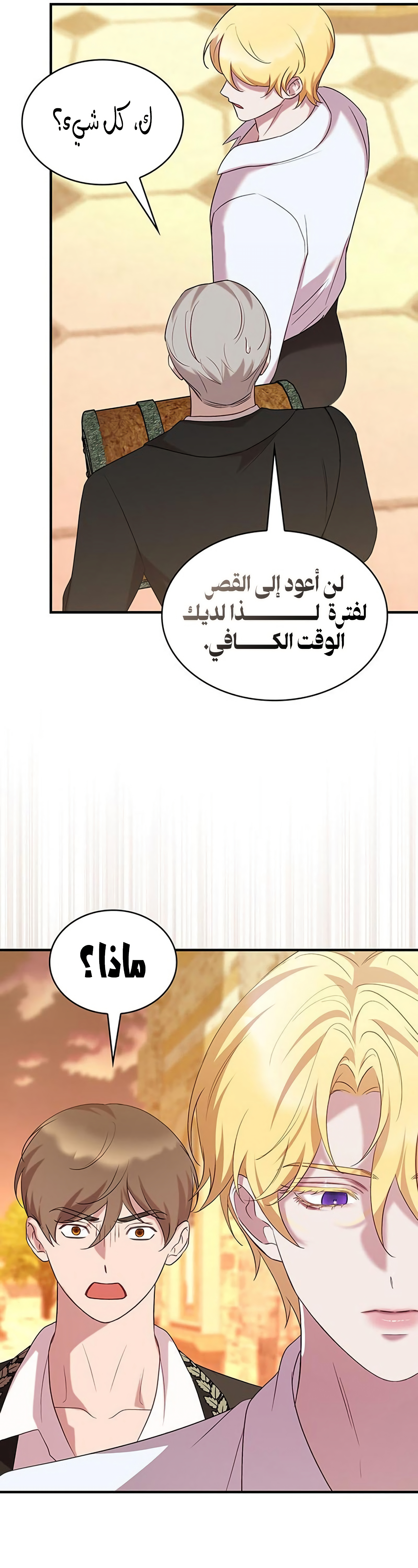 الصفحة 40