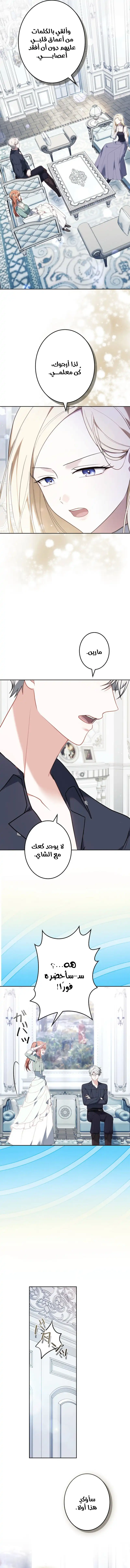الصفحة 16
