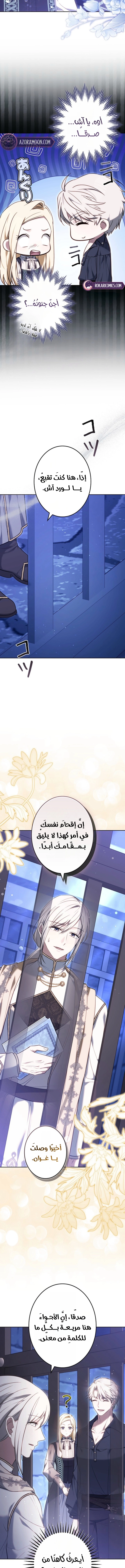 الصفحة 11